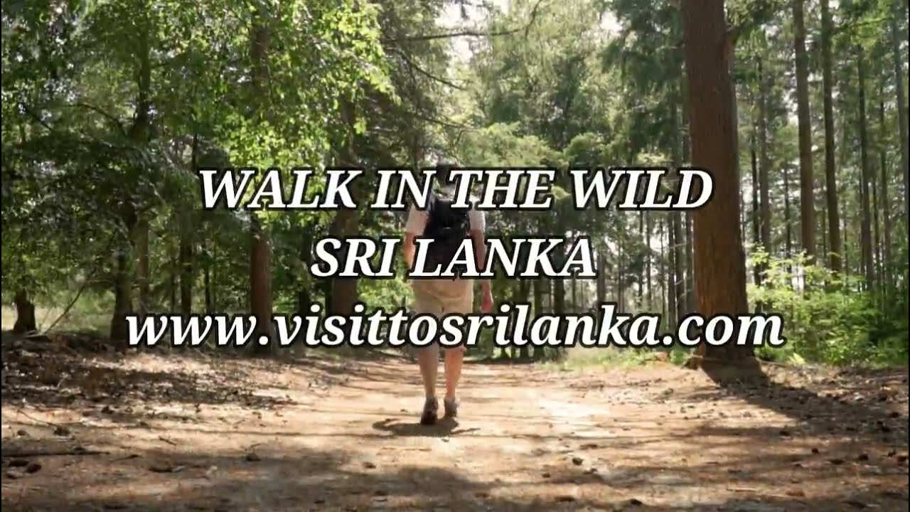 Sri Lanka - TREMENDOUS THINGS TO DISCOVER IN JUST 65610 sq. kms.