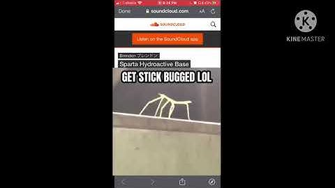 My attempt on get stick bug’d lol with the Sparta hydroactive Base