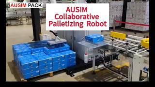 25kg Collaborative Palletizing Robot | Real Factory Carton Palletizing Demo