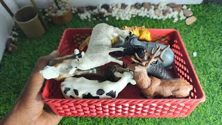 WADIDAW UNBOXING Mainan Sapi Lucu, Rusa, Gajah, Harimau, Singa, dinosaurus