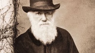 Planet Wissen - Charles Darwin und die Artenvielfalt