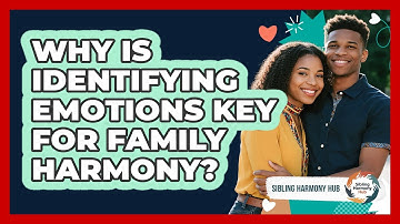 Why Is Identifying Emotions Key For Family Harmony? - Sibling Harmony Hub