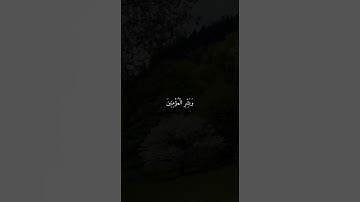 سورة التوبة-الشيخ علي جابر رحمه الله