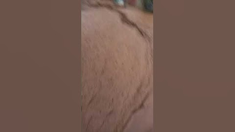 🇲🇦شاهد لحظة غرق تلميذة بسبب فيضان بمنطقة الرماني😰 حاولو إنقاذها لكن…💔