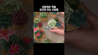 어떻게든 먹을 궁리만 하는 사람들