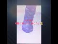 吉川晃司【KISSに撃たれて眠りたい】