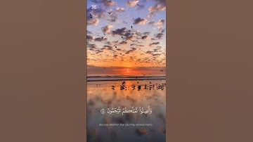 سورة الاعراف | الاية 204 , 205 | القارئ #ماهر_المعيقلي