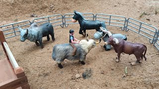 Rodeio de brinquedo com bois e cavalos