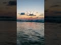 حماقي لسه ليك جوايا 1000 حاجة معايا 