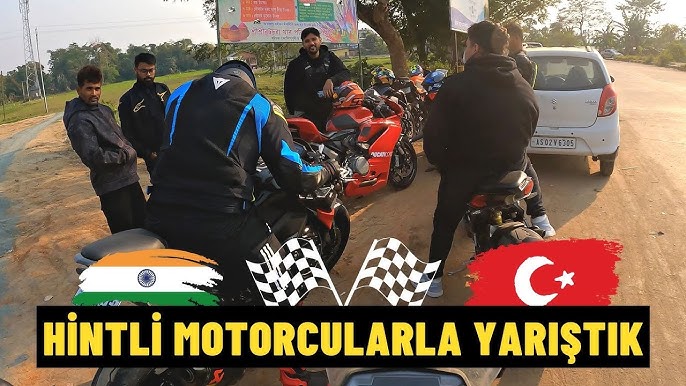 traş olmuş kedi