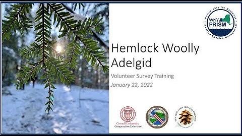 HWA Virtual Survey Training 2022