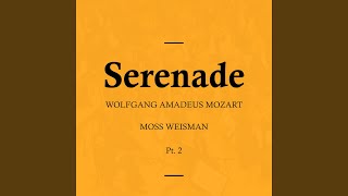 Serenade in D Major, K. 203: IV. Allegro