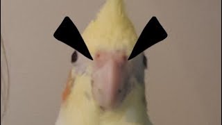 Anger
