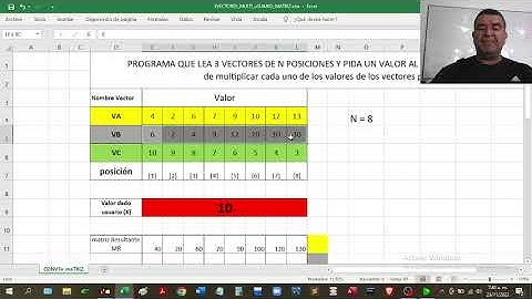 PSEint #16  Matriz 3  Vectores Muliplicado por numero