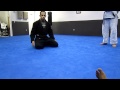 BJJ basic posture in guard technique