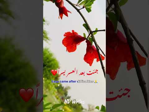أنت نور الله فجرا A Captivating Nasheed With Breathtaking Natural Views