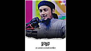 হুজুর কে একজন যে কথাটা বলেছিল | Abu Toha Mohammad Adnan | আবু ত্বহা মুহাম্মদ আদনান