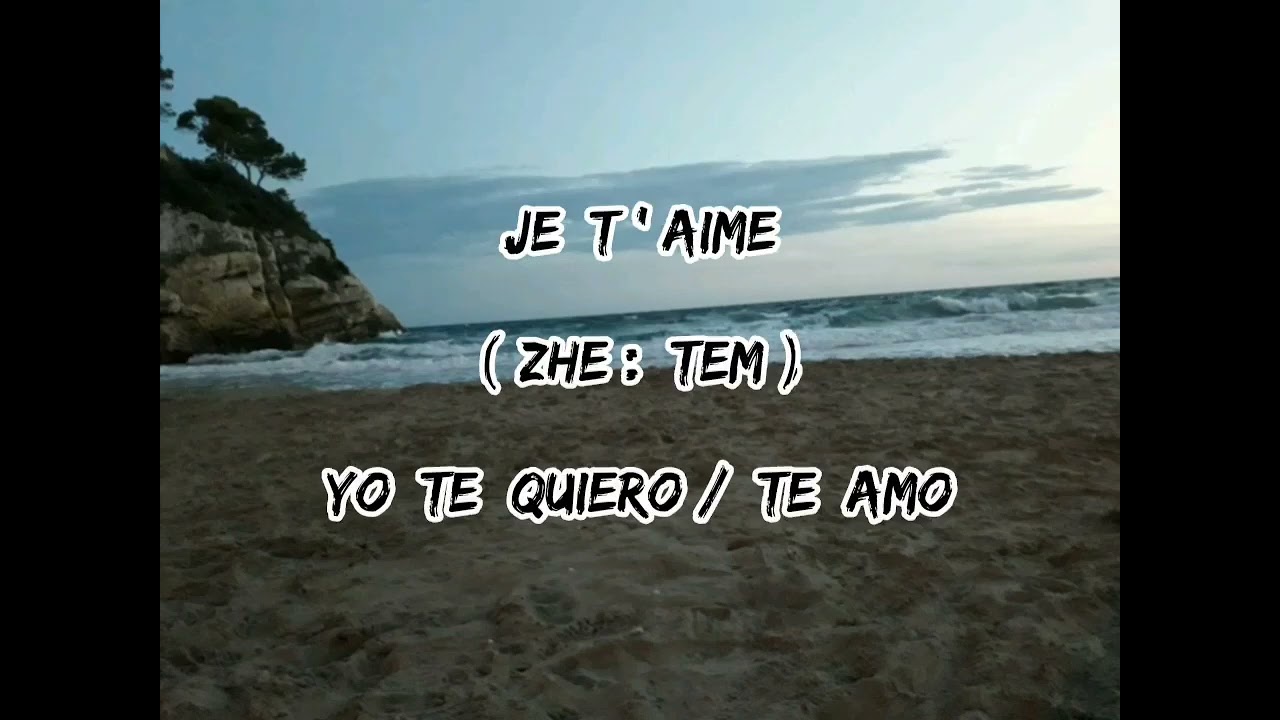 UNA PALABRA AL DÍA: ¿Cómo decir "TE QUIERO/TE AMO" en Francés?