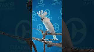 Endangered Species Day 2026 - Resident Animals at CMA