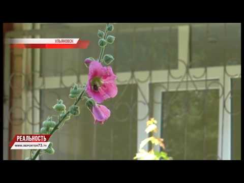 НОЖ В БОЛЬНОЕ СЕРДЦЕ