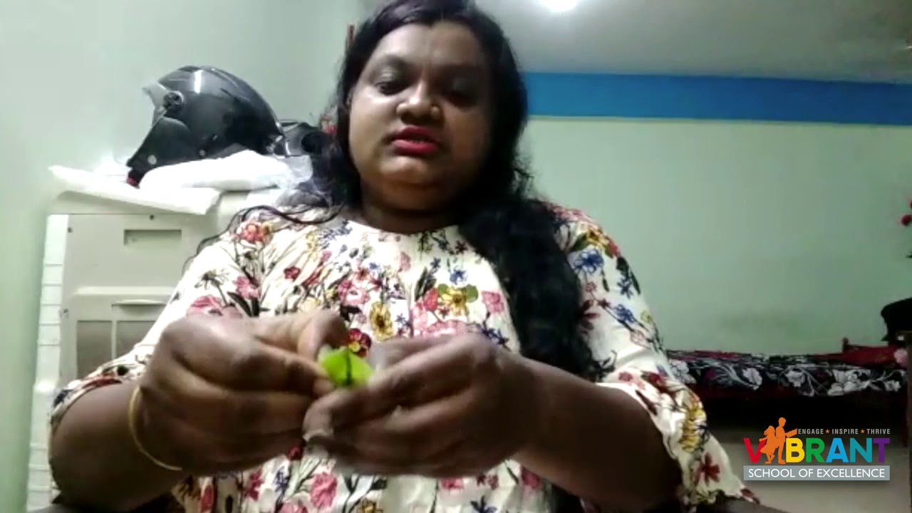 Thank you video Vibrant Teachers