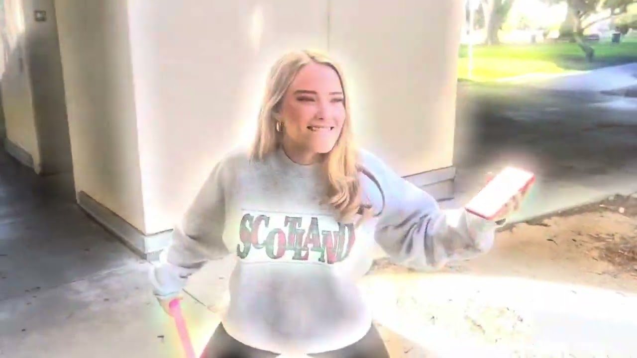 Hamlet: The Comedy (english 4 final project)