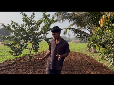 குறைந்த செலவு – விரைவான லாபம் 🌱 | கொத்தமல்லி சாகுபடி முழு வழிகாட்டி”#agri#agrifuture #agribusiness