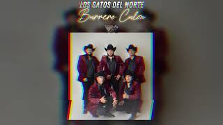 Los Gatos Del Norte Burrero Culon Letra 2024