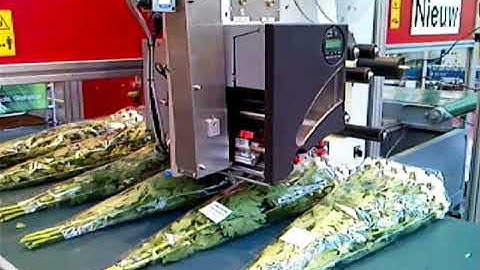 Zetes MD4000 printer-applicator