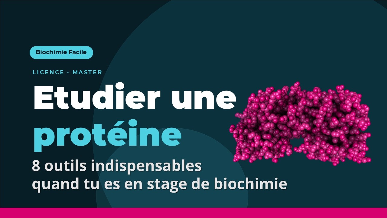 Les outils indispensables pour réussir votre stage en biochimie | Biochimie Facile