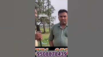 plot in patna | plot for sale in patna | patna property #patna #home #property #plot #reels #shorts