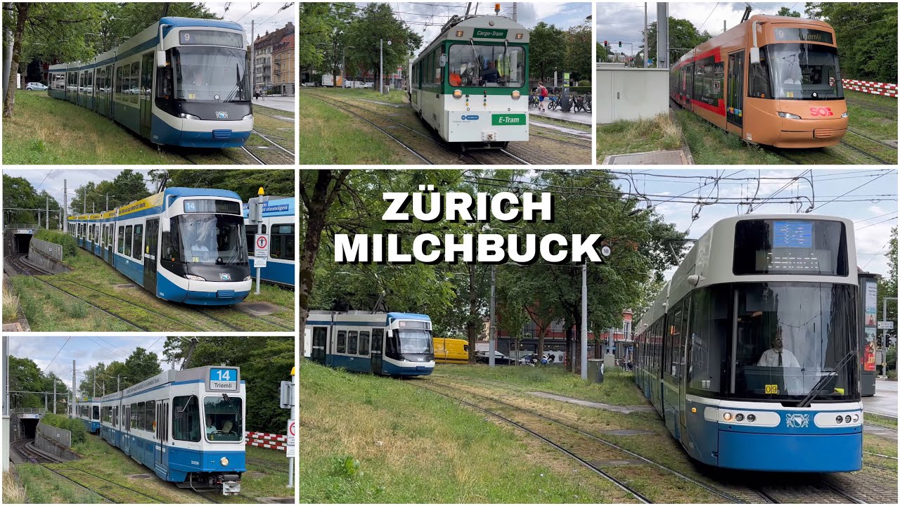 Trams bei der Haltestelle Zürich Milchbuck | Trams at the Zurich Milchbuck stop (2023)