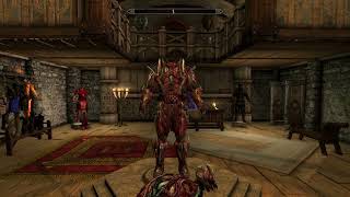Skyrim Mod retexture clothes & armor shop