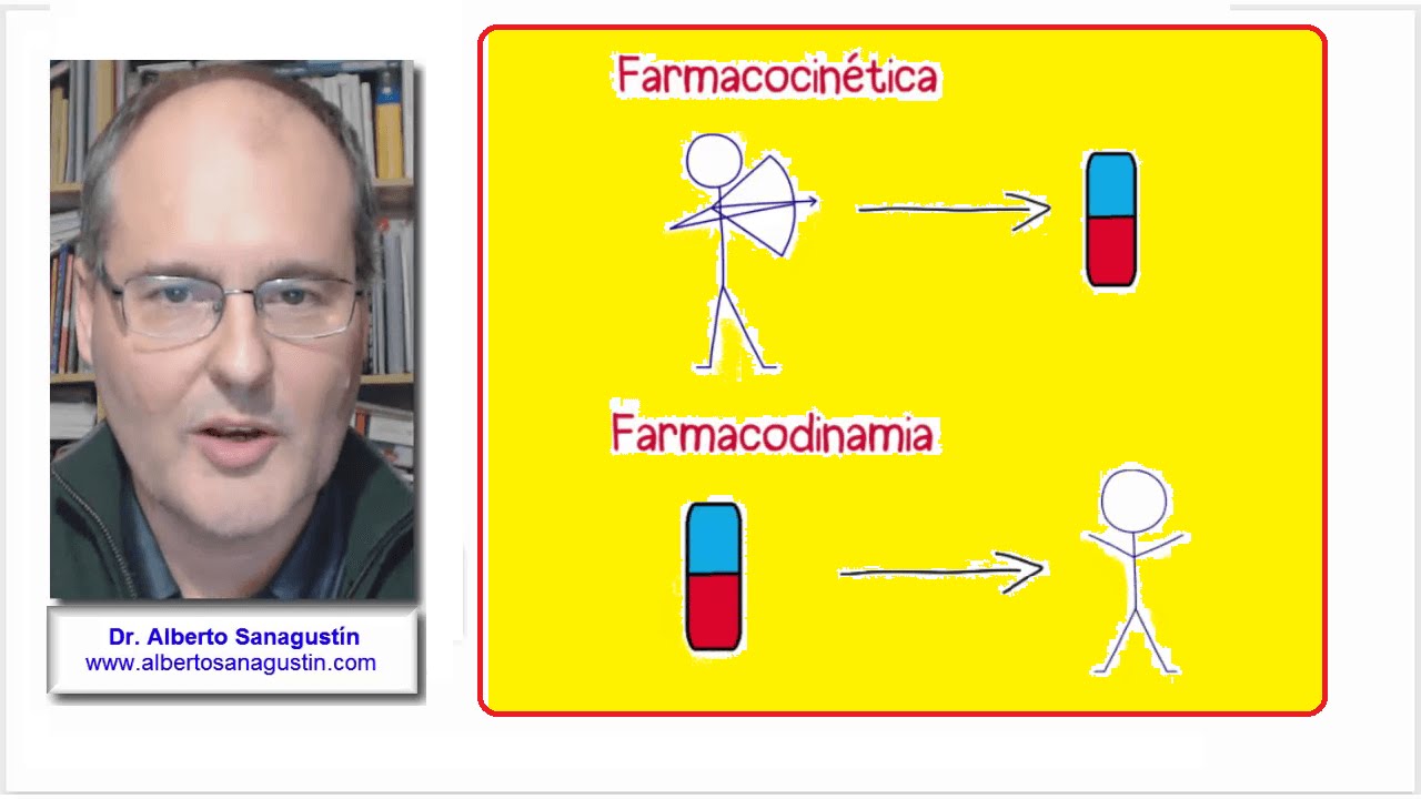 Farmacocinética y Farmacodinamia diferencias
