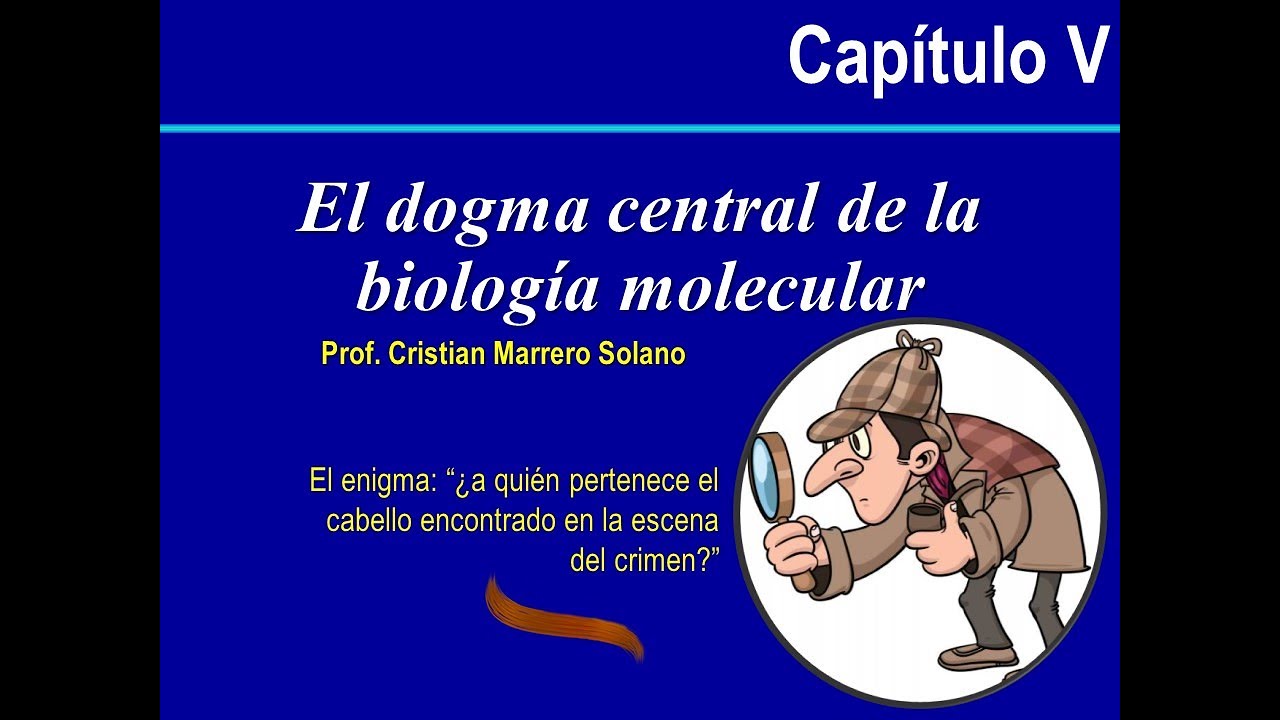 El dogma central de la biología molecular
