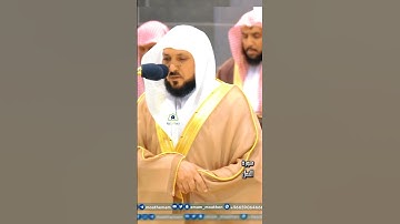 تلاوة تحبيرية و آسرة الشيخ أ.د #_ماهر_المعيقلي |  سورة النمل