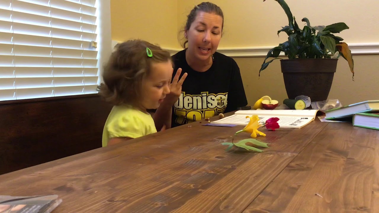 kids bible study free kids bible study free