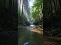 Crystal River Nature
