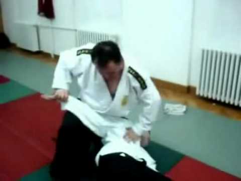 Ju Aikido - Fighting Aikido