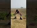Road skating practice🛼🤣#skating#practice #roadskating#rollerskating #skateboarding#skater #shorts