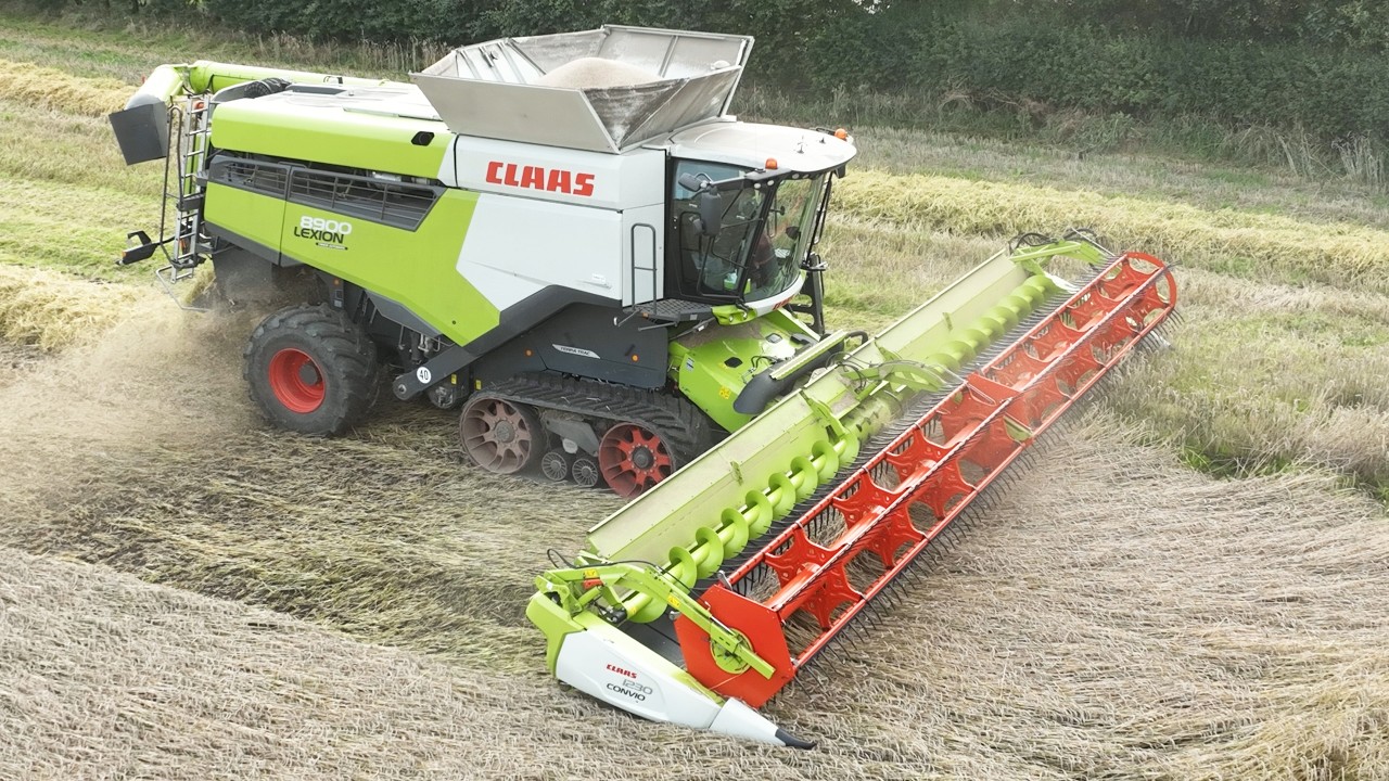 Claas Lexion 8900 harvesting Rye | Big Harvest