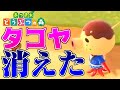 【あつ森】タコヤが突然失踪しました【あつまれどうぶつの森】