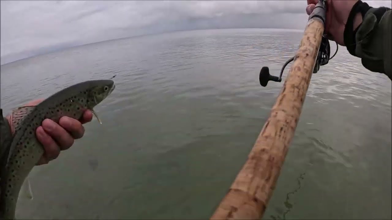 Meerforellen am 09.10.2025, Tag1 vom Ausflug, Springerfliege bringt Fische!