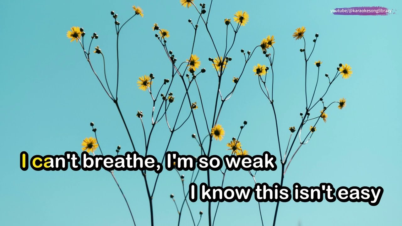 [KARAOKE] LOVE IS GONE - SLANDER ft. Dylan Matthew