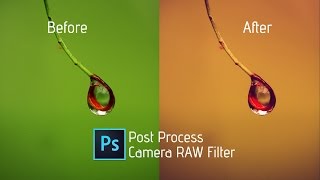 Photoshop Tutorial | Macro Photography Post Process (Camera RAW Filter)