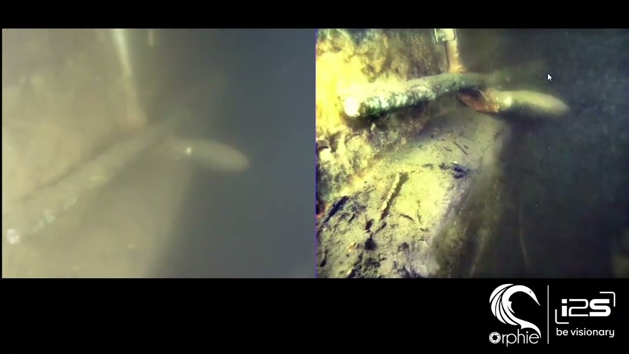 i2S Orphie - Dam inspection