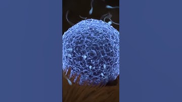 ‘Artificial womb’ facility could let parents choose baby’s characteristics #Artificialwomb