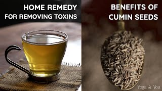 Home Remedy to Remove Toxins | Health Benefits Of Cumin | Jeera Water | Best Ways To Use Cumin |