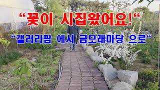#금모래마당펜션 #갤러리팜 #치유농업 #꽃나눔 #김제살이 #귀농귀촌 #꽃이야기 #가족모임하기좋은곳 #가족끼리쉬기좋은곳 #김제바베큐펜션 #김제가볼만한곳 #김제펜션 #김제숙소