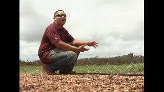 Innovative Manhita Farms looks to transform island agriculture